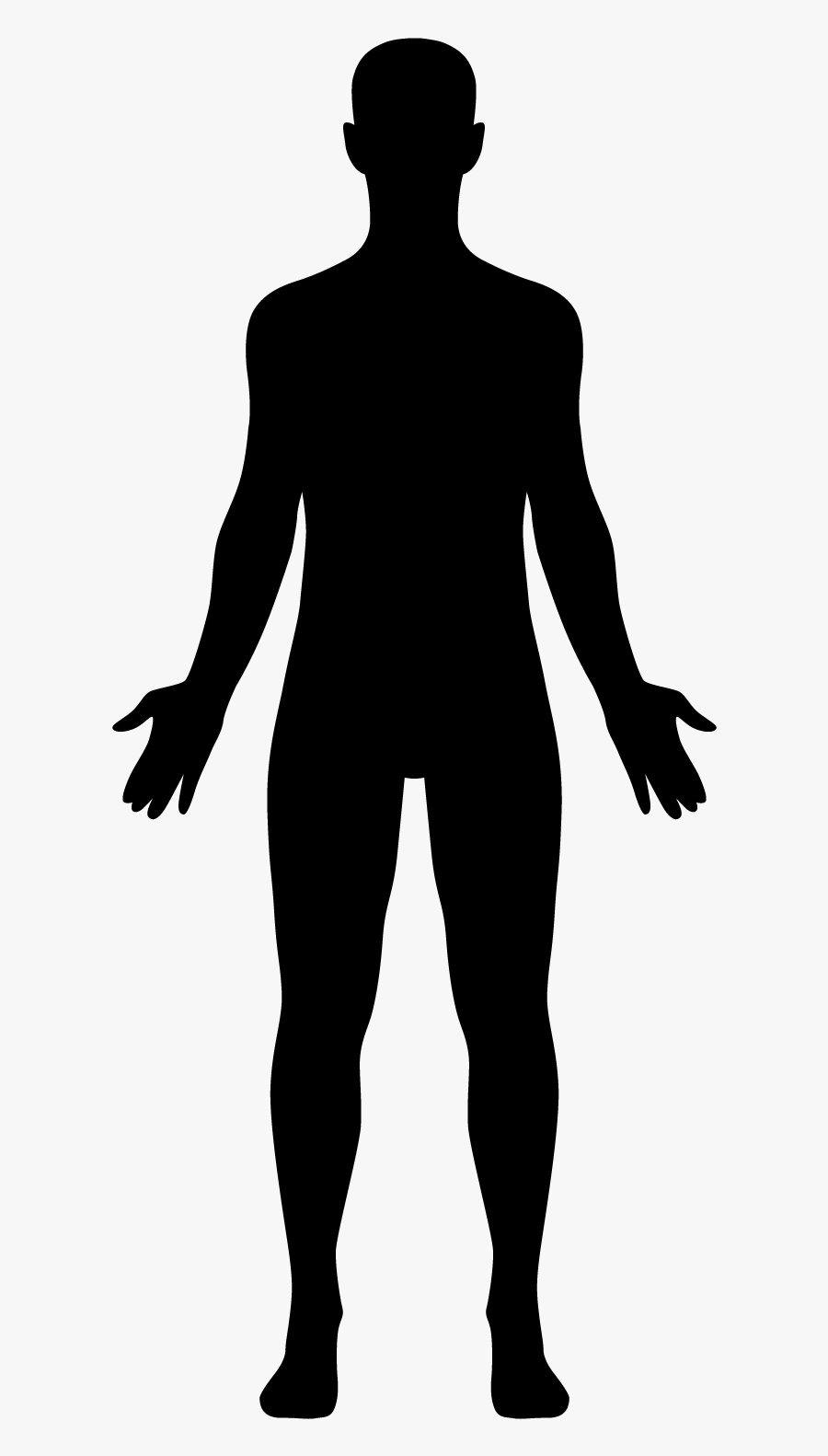 Human Body Png Icon - Human Body Silhouette Png, Transparent Clipart