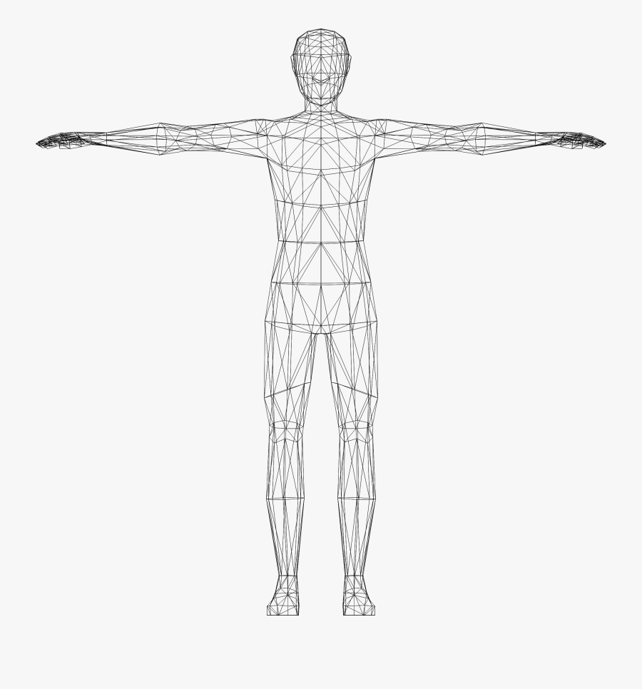 Humans Clipart Wireframe - Body Clipart Transparent, Transparent Clipart