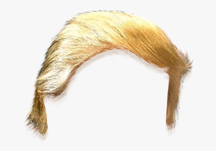 Trump Clipart Hair - Donald Trump Hair Cut Out, Transparent Clipart