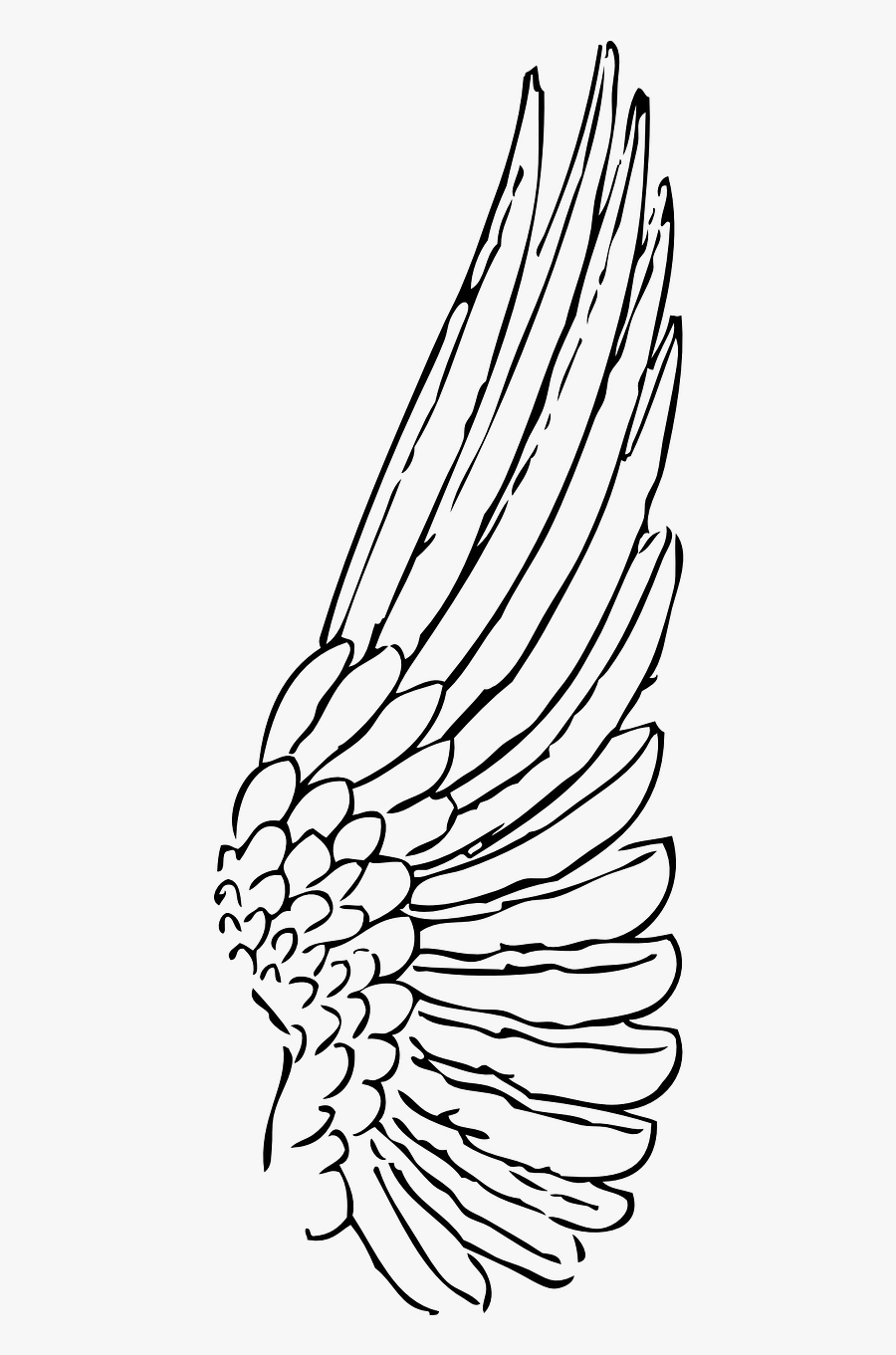 Transparent Angel Wings Clipart - Wing Clipart, Transparent Clipart