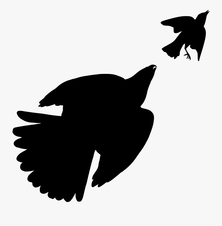 Hd Svg Hawk Blue - Stanley Hawk Audubon, Transparent Clipart