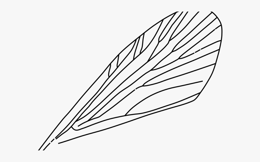 Grasshopper Clipart Wing Grasshopper - Bug Wings Clipart, Transparent Clipart