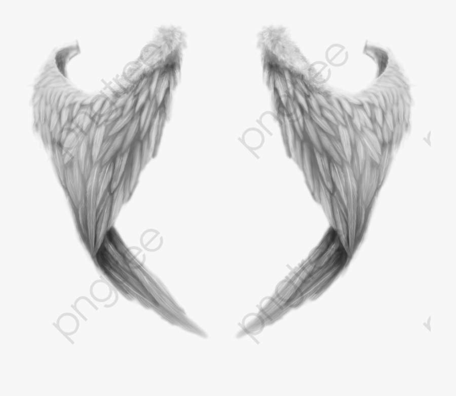 Transparent Wings Clipart - Angel Wings From Behind, Transparent Clipart
