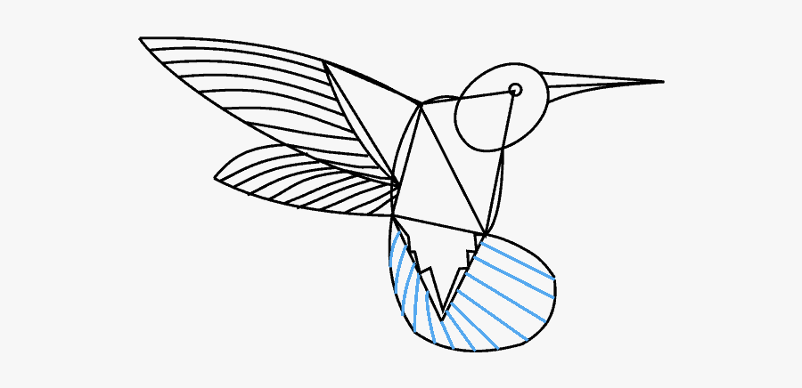 How To Draw A Hummingbird Step By Step - Hummingbird Drawings, Transparent Clipart