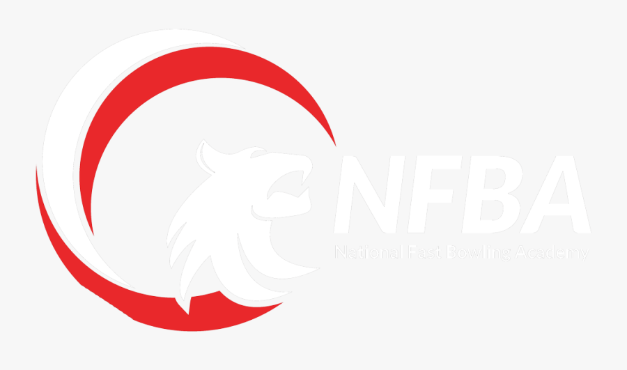 Circle, Transparent Clipart