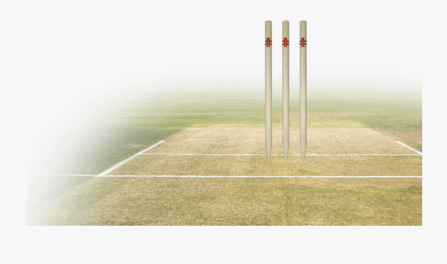 Kwik Cricket, Transparent Clipart