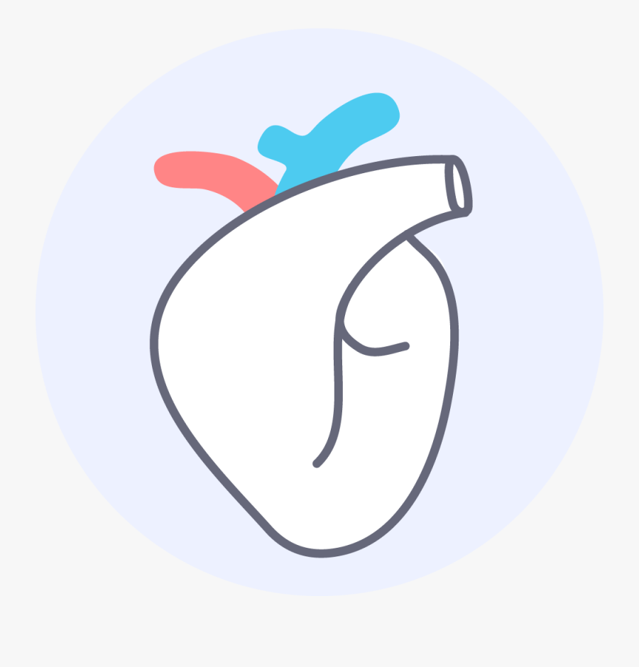 Circle, Transparent Clipart