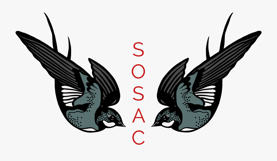 Sosac Photography - Illustration, Transparent Clipart