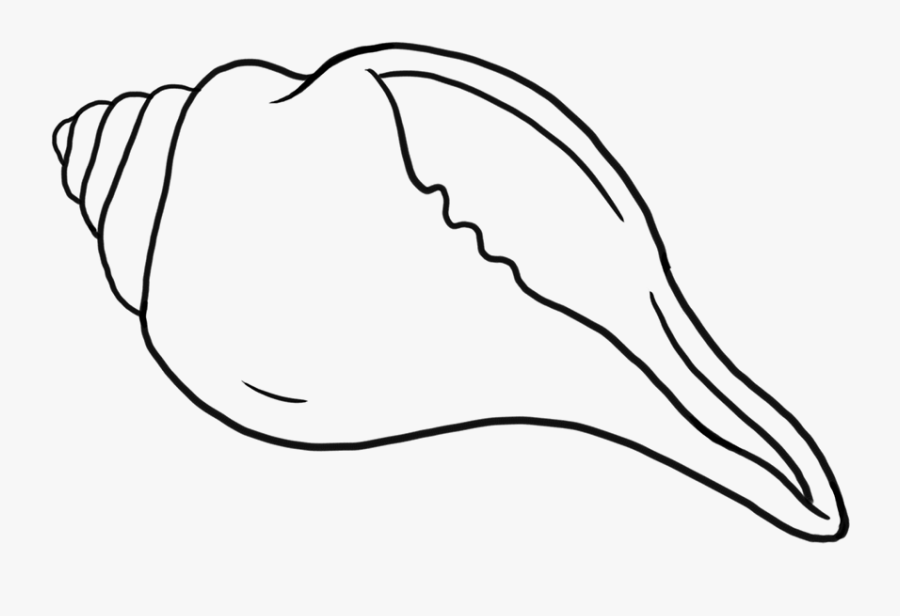 Patterns Of Transformation Designing Sex, Death, And - Line Art, Transparent Clipart