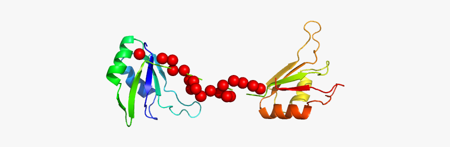 Protein Sex-lethal Mutant Eom/ranch Model"
				title="load - Illustration, Transparent Clipart