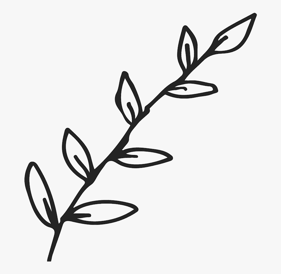 Transparent Leaf Clip Art Black And White, Transparent Clipart