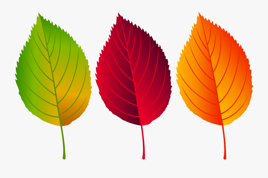Leaf Clipart Colorful - Colorful Fall Leaves Clip Art, Transparent Clipart
