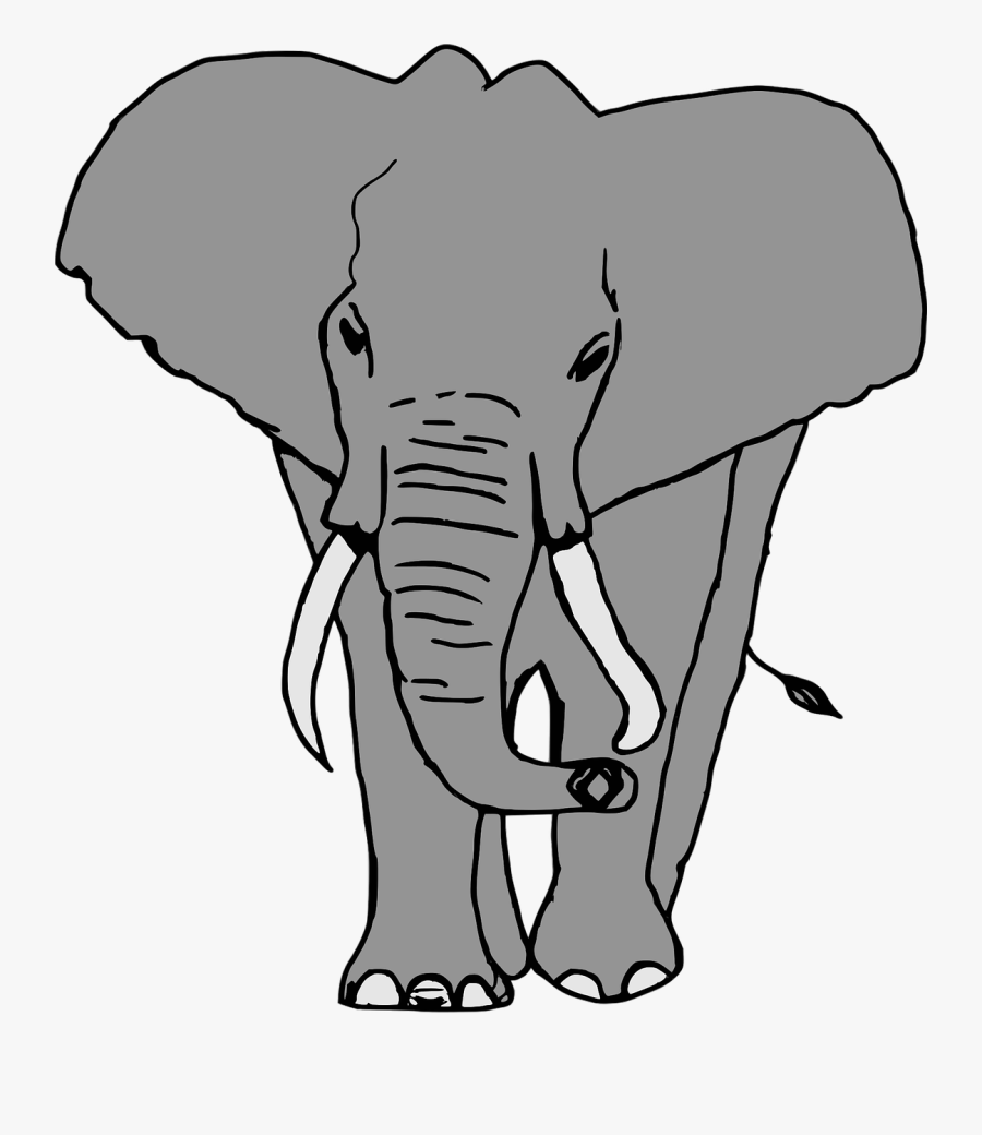 Elephant Animal Safari Free Picture - Elefante Clipart, Transparent Clipart