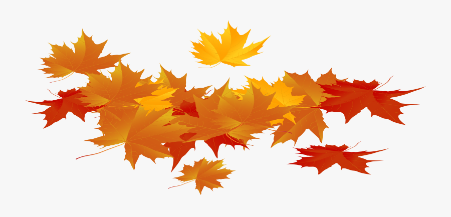 Thanksgiving Leaves Png - Leaves Fall Season Png, Transparent Clipart