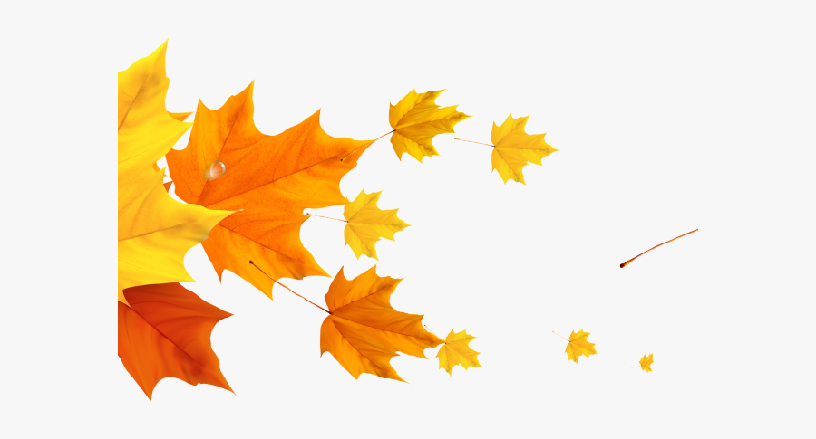 Autumn Divider Cliparts - Leafs Png, Transparent Clipart