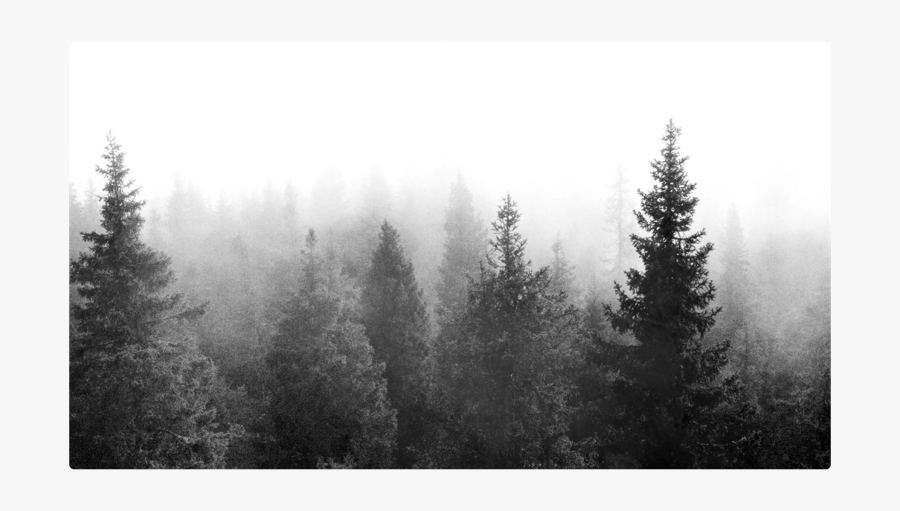#trees #tree #forest #background #wallpaper #nature - Indie, Transparent Clipart