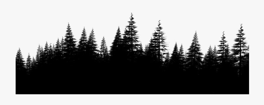 Transparent Forest Clipart Backgrounds - Forest Png Black, Transparent Clipart