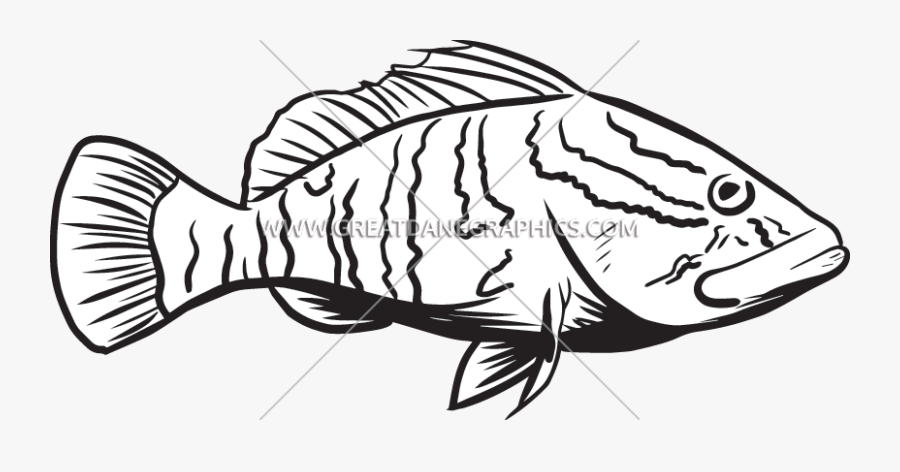 Grouper Clip Art, Transparent Clipart