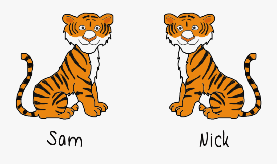 The Jungle Train Ugly - Jungle Tiger Vs Zoo Tiger, Transparent Clipart