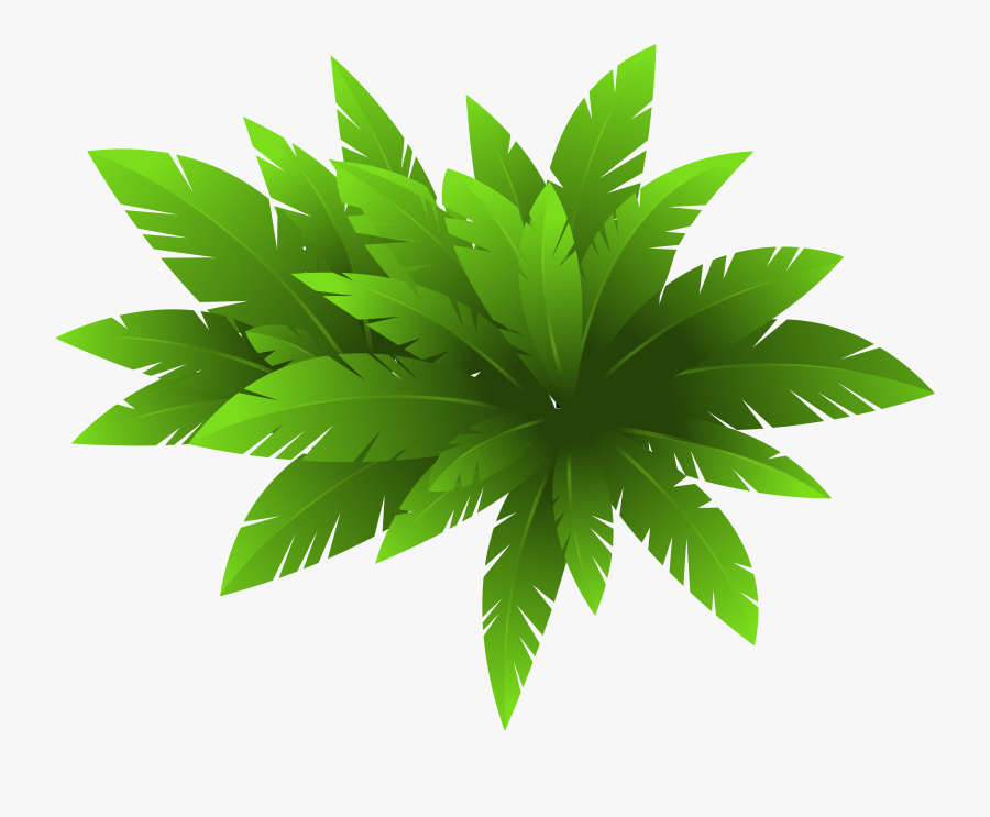 Plantas Verde E Png, Transparent Clipart
