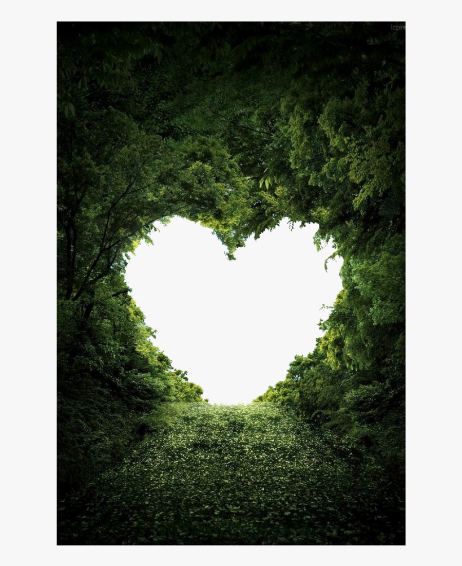 #edits #forest #heart #art #backgrounds #stickers - Love Photo Frames, Transparent Clipart