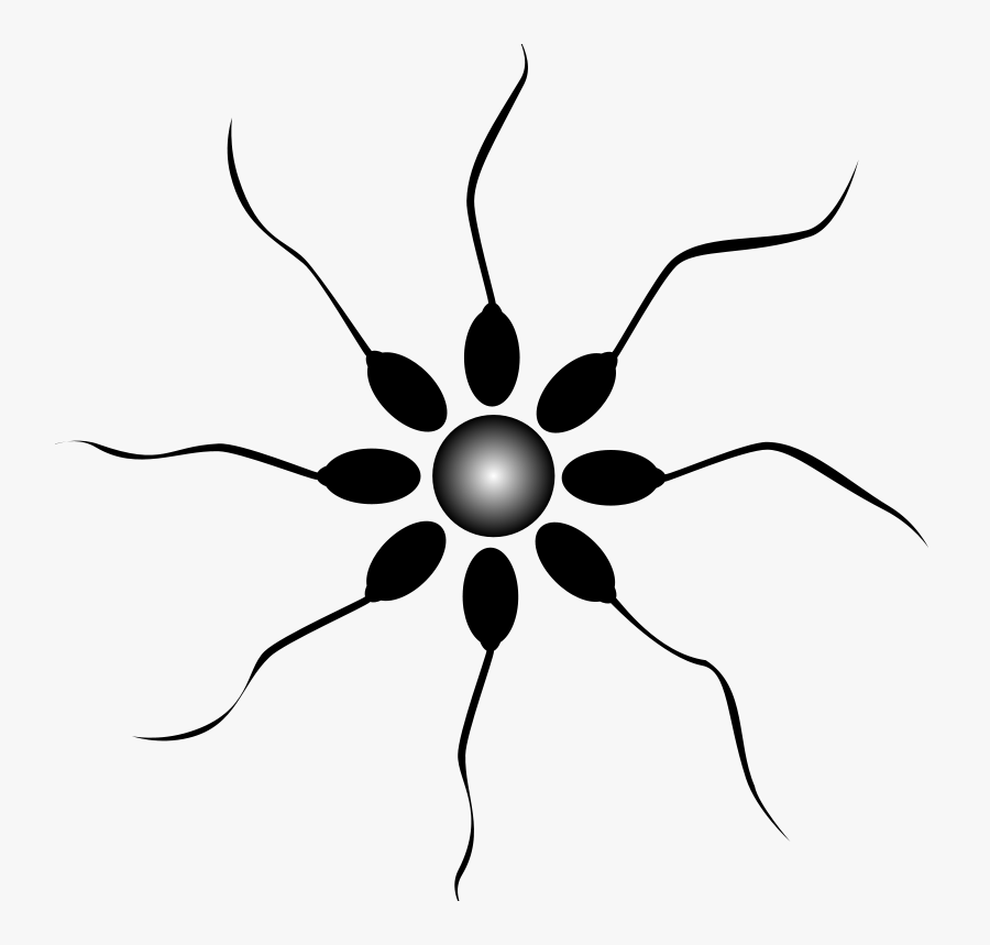 Sperm - Assisted Reproductive Technology Black And White Clipart, Transparent Clipart