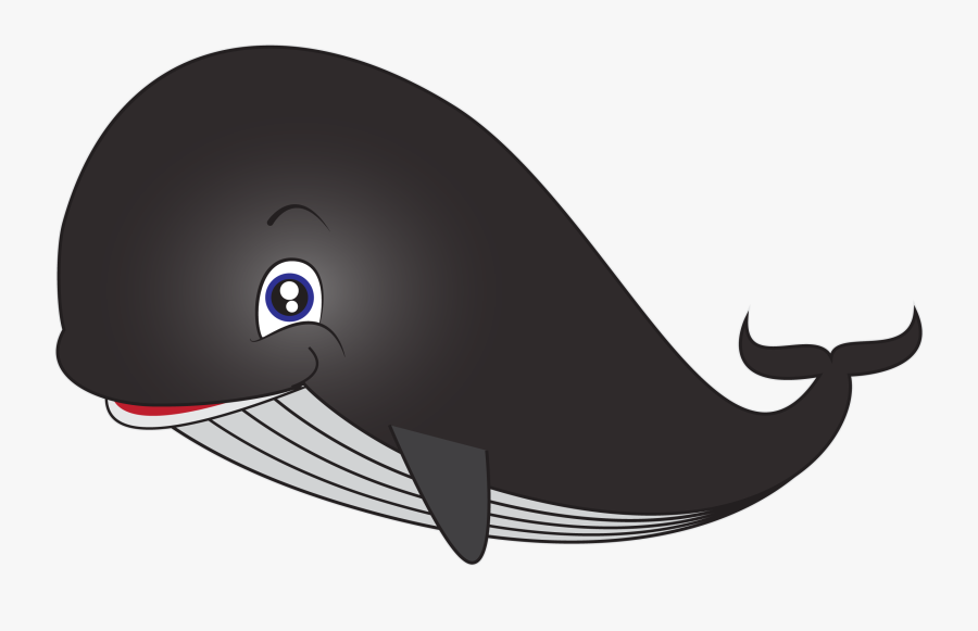 Sperm Whale Cartoon Clip Art - Transparent Background Whale Clipart, Transparent Clipart