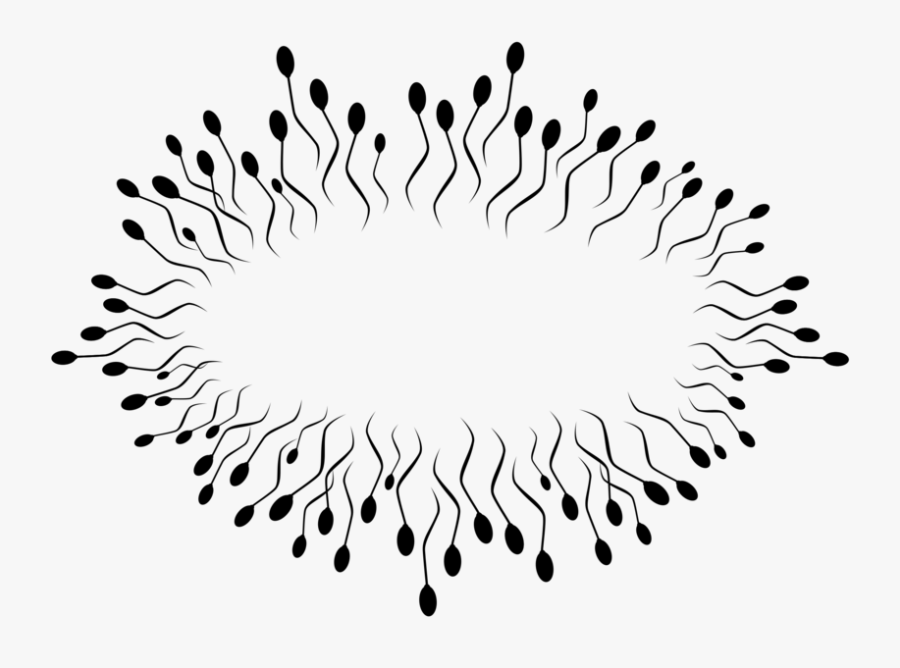 Line Art,symmetry,monochrome Photography - Espermatozoides Png, Transparent Clipart