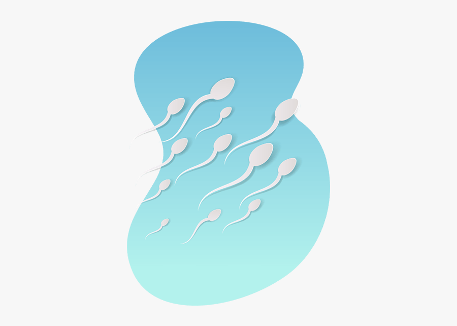 Clip Art The Healthy Diet My - Illustration, Transparent Clipart