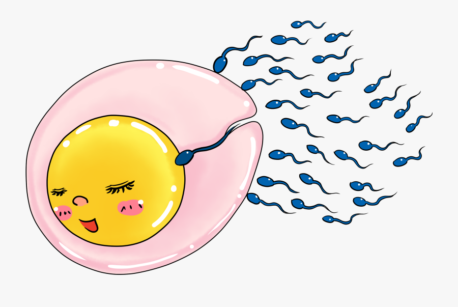 Transparent Sperm And Egg Clipart, Transparent Clipart