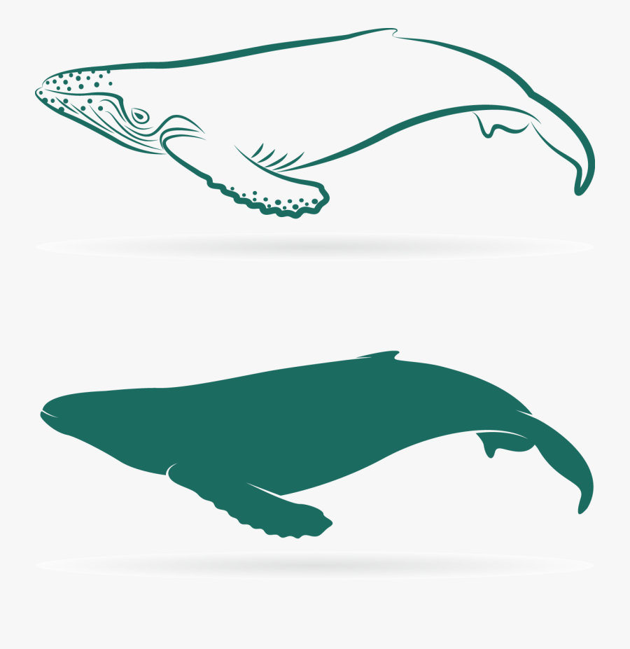 Transparent Sperm Png - Whales, Transparent Clipart