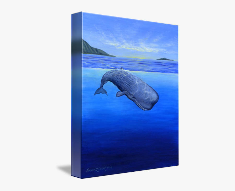 Clip Art Cod Sperm - Sperm Whale, Transparent Clipart