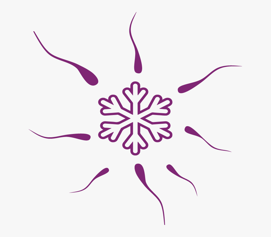 Egg Donation Donor Sperm - Snowflake Coloring Pages For Kids, Transparent Clipart