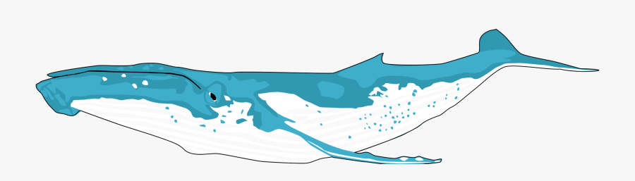 Transparent Humpback Whale Clipart, Transparent Clipart