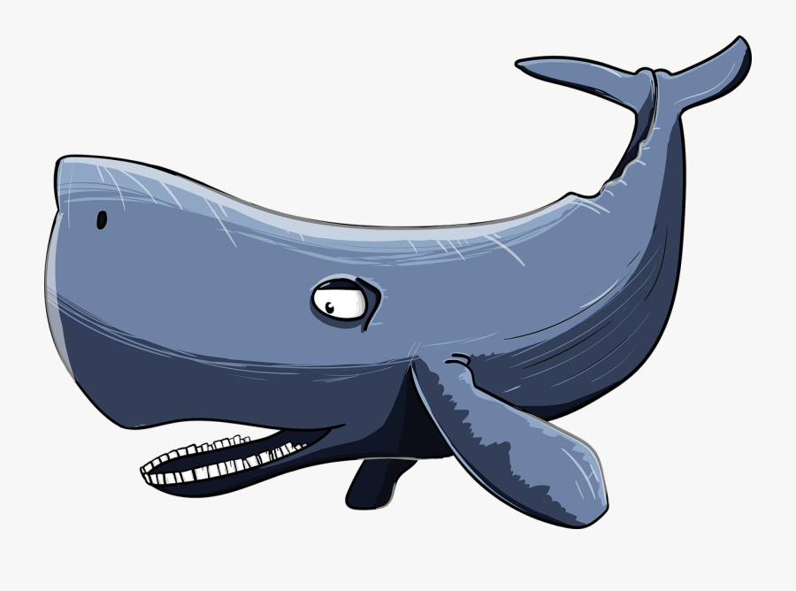 Sperm Whale 3170560 1280 - Cartoon Whale Mouth Open, Transparent Clipart