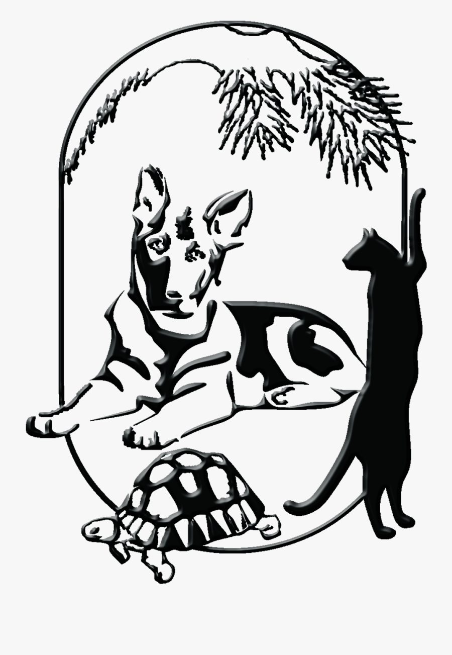 Cold Laser Therapy - Illustration, Transparent Clipart