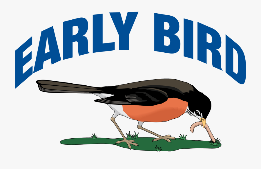 Vacation Clipart Travel Insurance - Bird Eating A Worm, Transparent Clipart