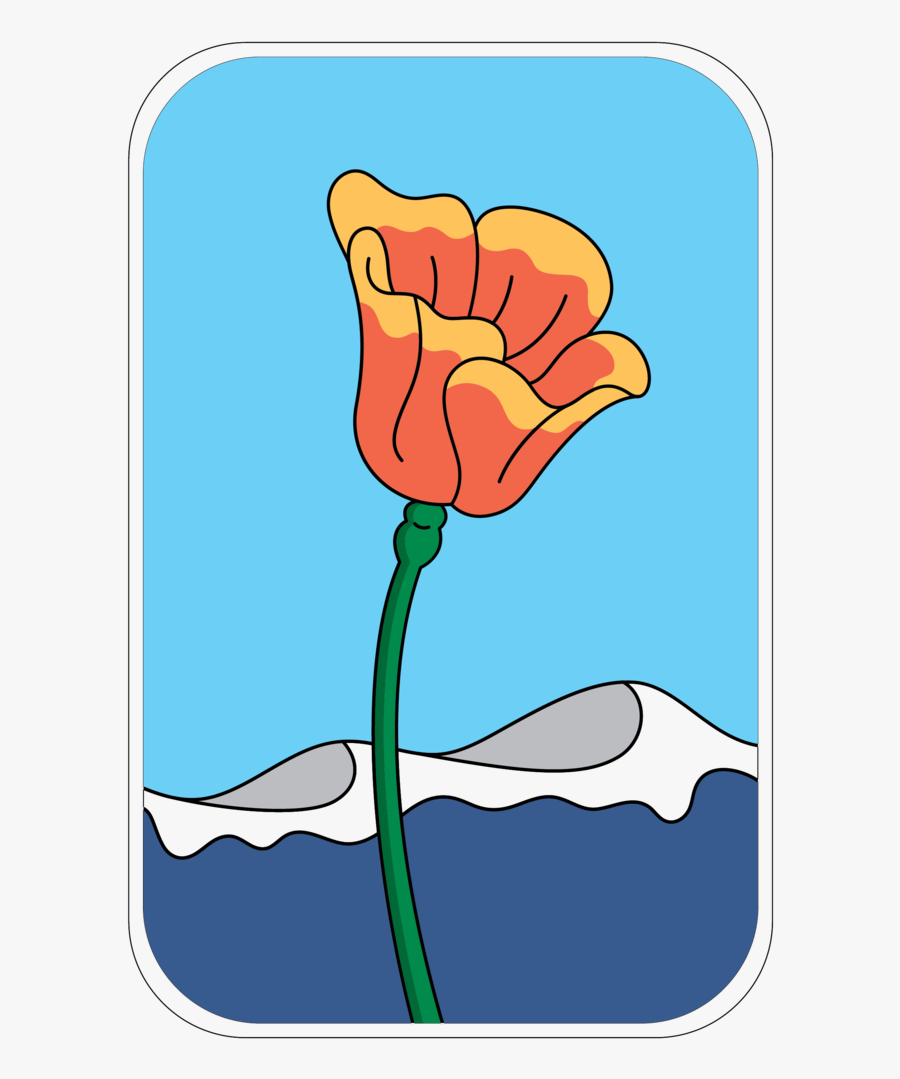 Tulip, Transparent Clipart