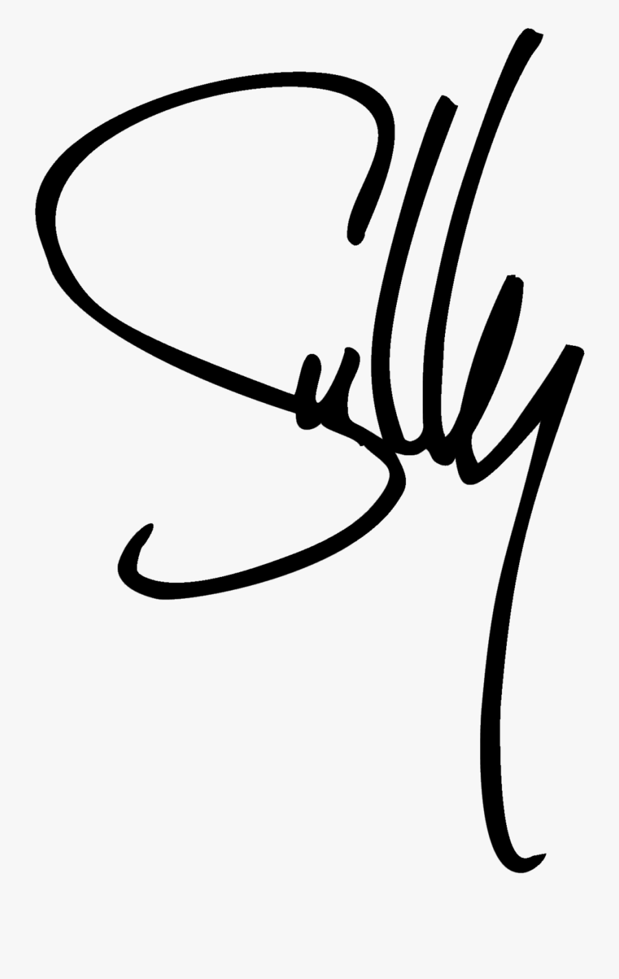 Signature, Transparent Clipart