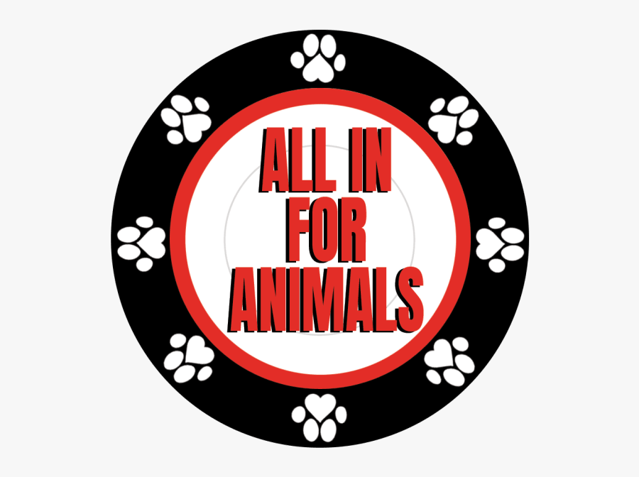 Poker Tournament Flyers, Transparent Clipart