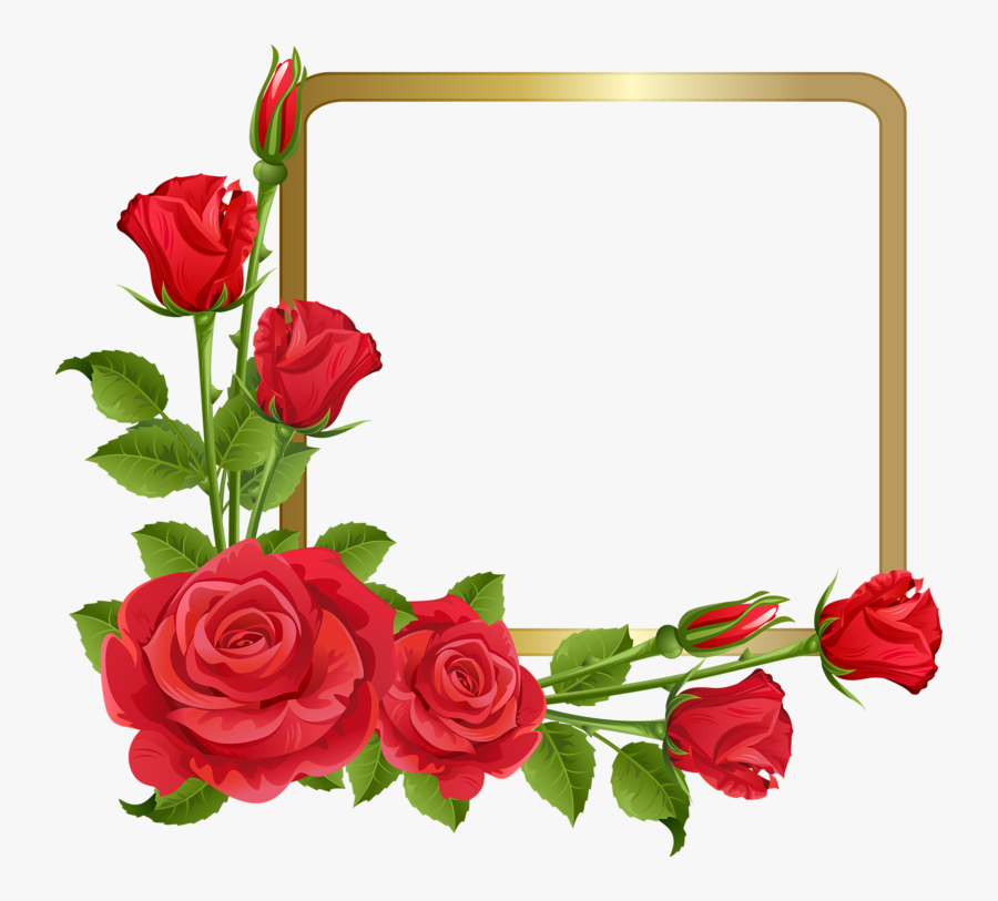 Фото, Автор Bzikolya На Яндекс - Rose Side Border Design, Transparent Clipart