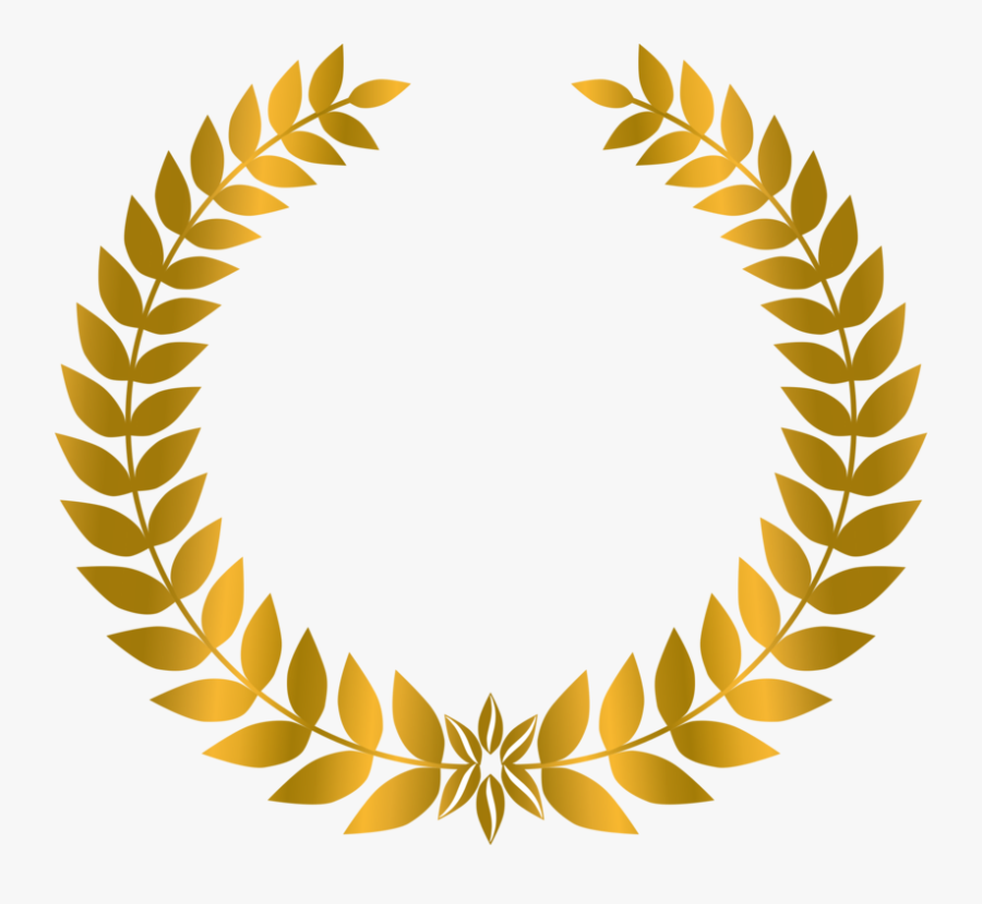 Plant,leaf,vascular Plant, Transparent Clipart