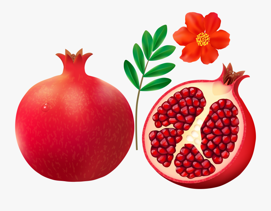 Clip Art Rosh Hashanah Pomegranate - Pomegranate Clipart, Transparent Clipart