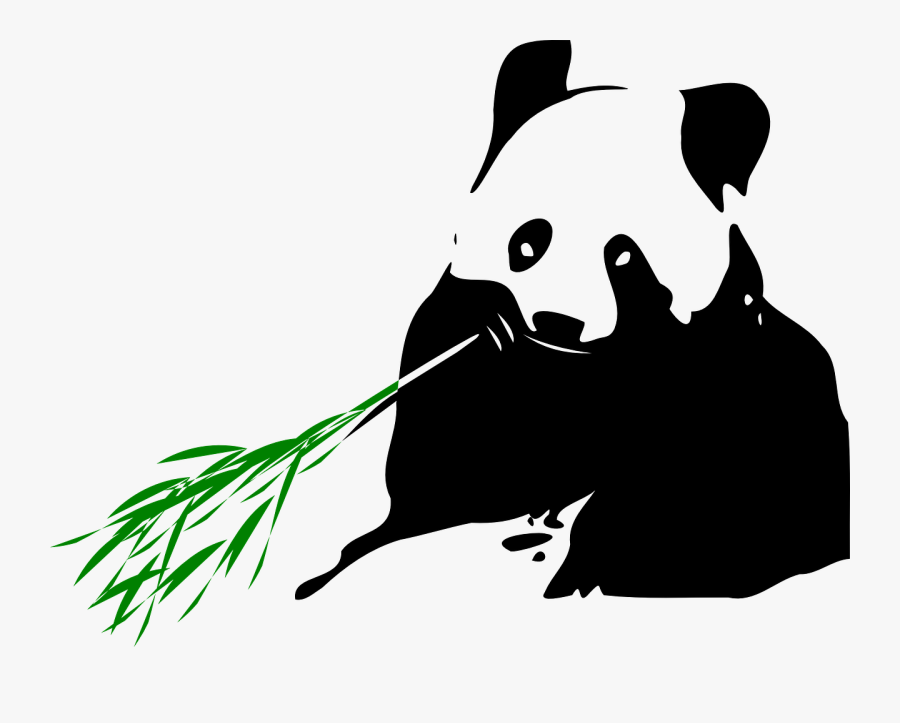 Panda Bear - Panda On Bamboo Png, Transparent Clipart