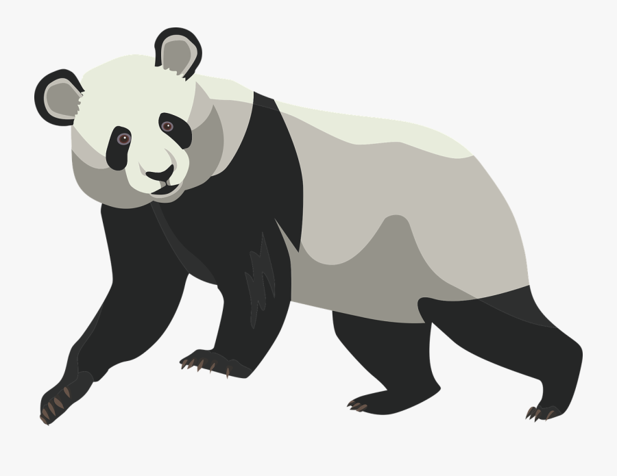 Transparent Panda Bear Png - Dibujos De Osos Panda, Transparent Clipart
