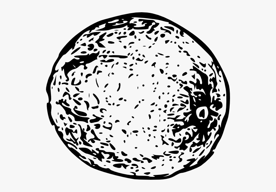 Free Vector Cantaloupe Clip Art - Black And White Cantaloupe, Transparent Clipart