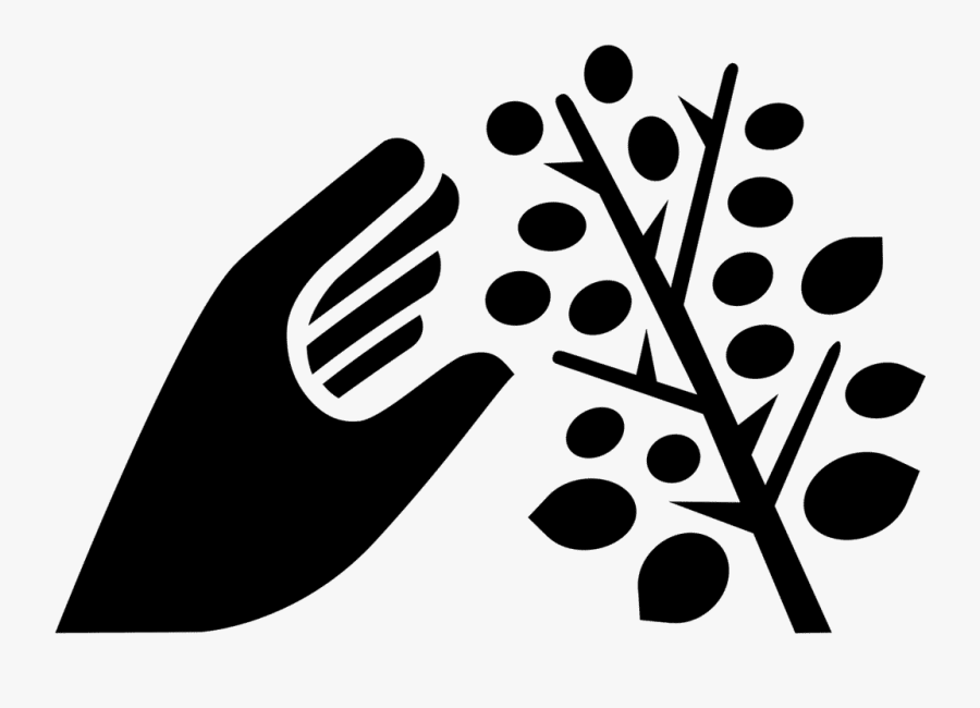 Picking Lexical - Harvesting Icon Png, Transparent Clipart