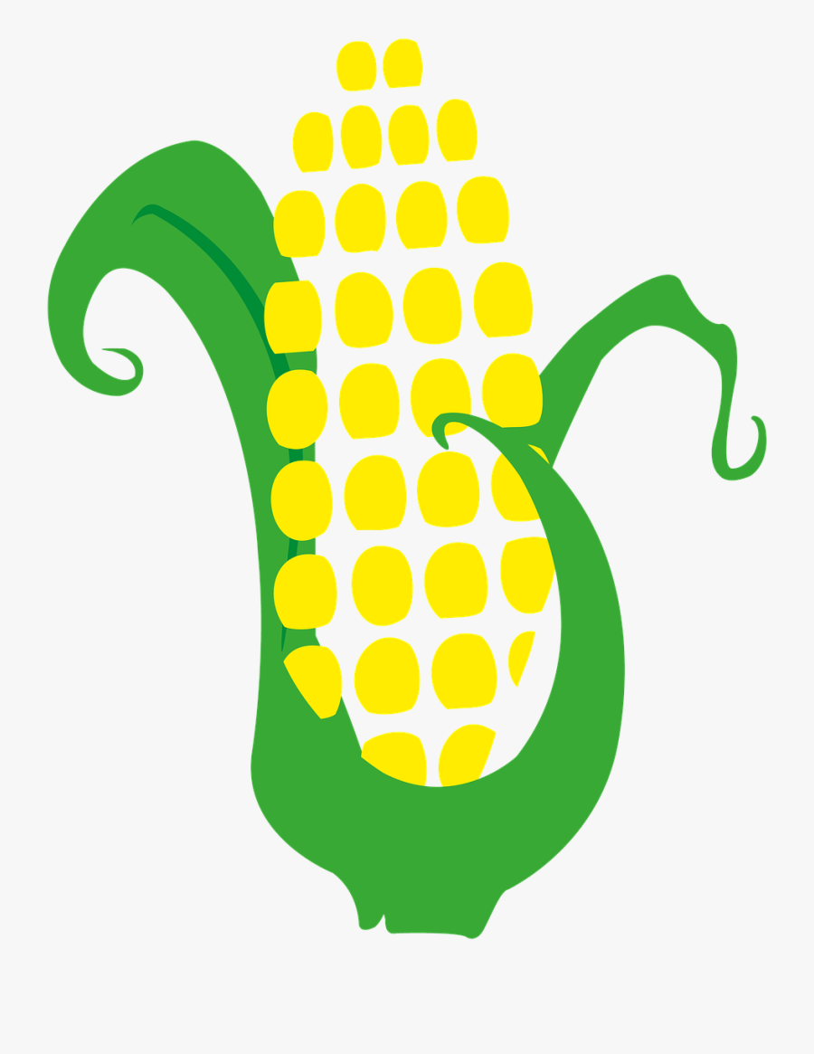Corn Cob Harvest - Maiz Logo Png, Transparent Clipart