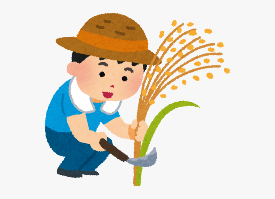 Transparent Rice Clipart, Transparent Clipart