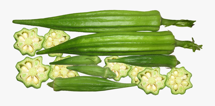 Clip Art Growing Harvesting How Many - Transparent Okra Png, Transparent Clipart